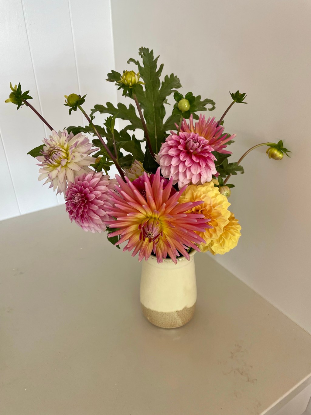 Dahlias