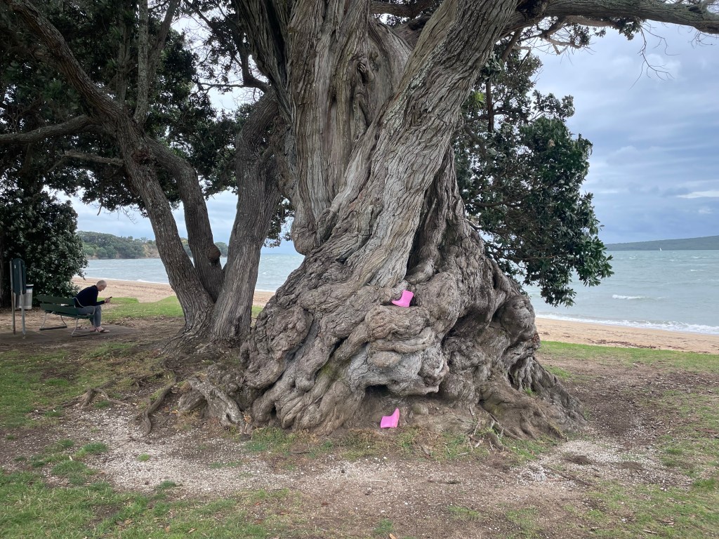 Maybe it really is performance&nbsp;art!