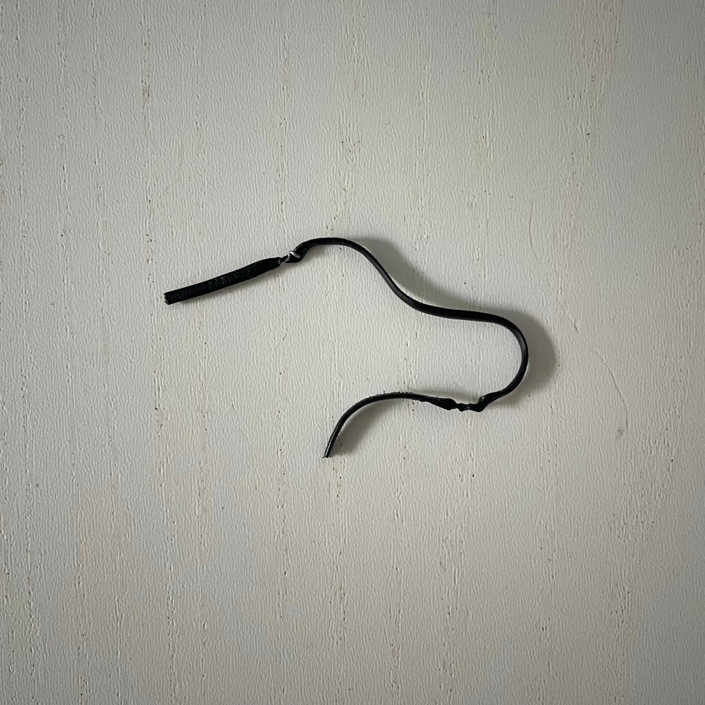 Man’s best friend?